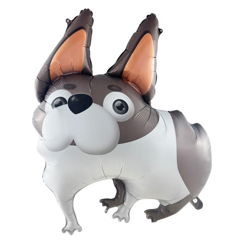 New Animal Combo Deco Balloons Shapi Dog Long Eared Min.50PCS